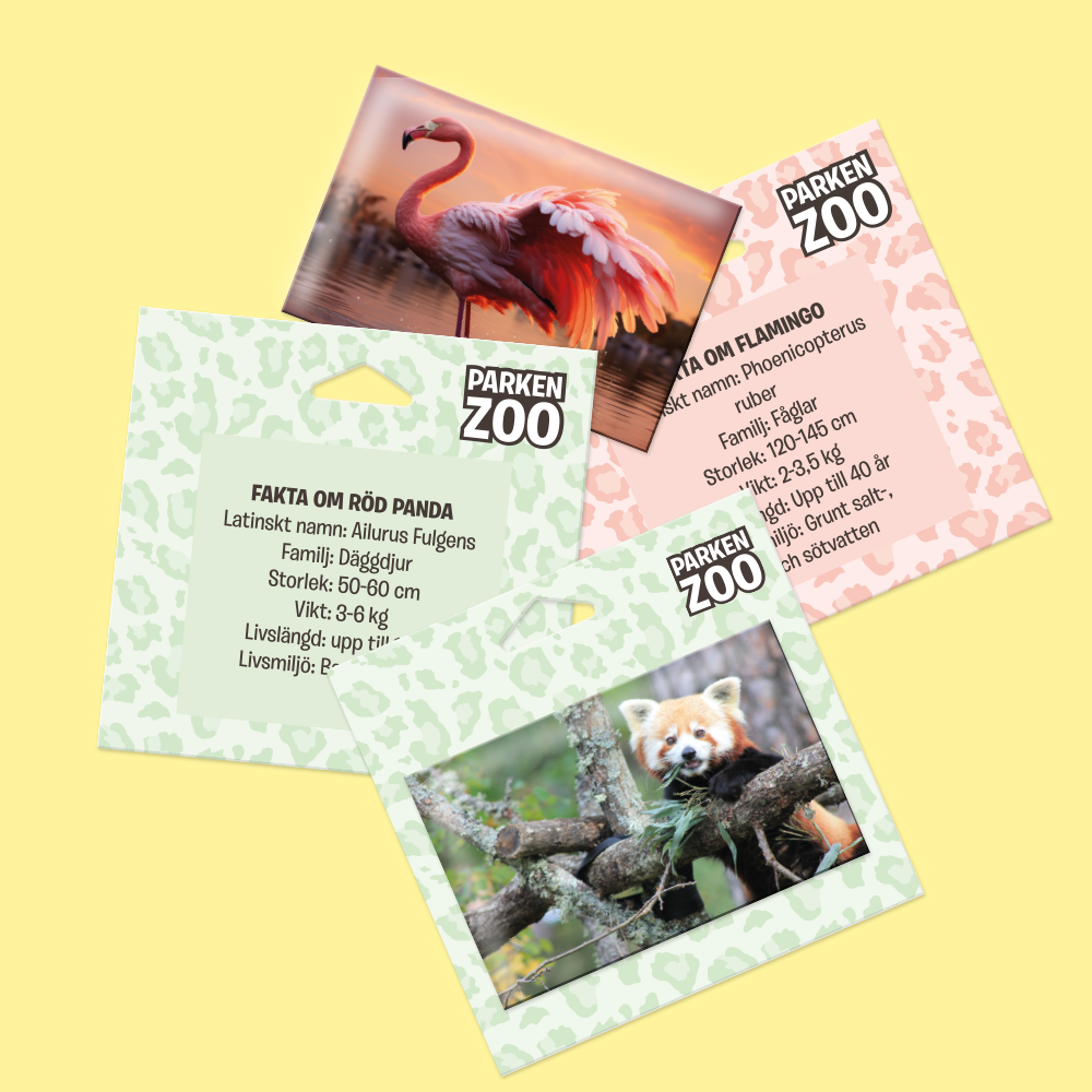 Fyra magneter: två med bilder på en flamingo och en röd panda, två med deras beskrivningar.